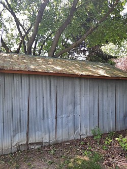 W.andrew painting